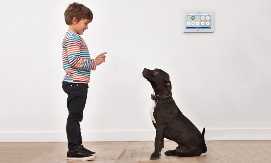 Binghamton Home Security Company Reviews